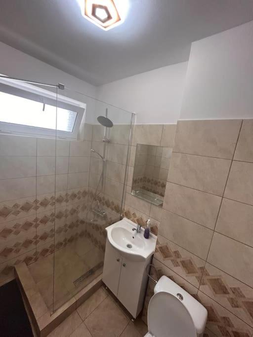Apartament 2 Sector 1 Bucureşti